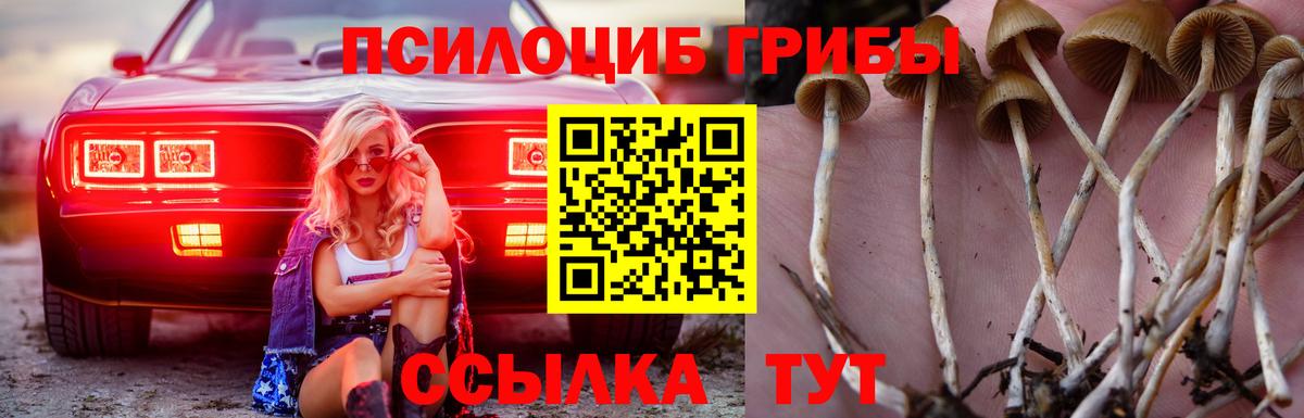 Псилоцибиновые грибы Magic Shrooms Вольск